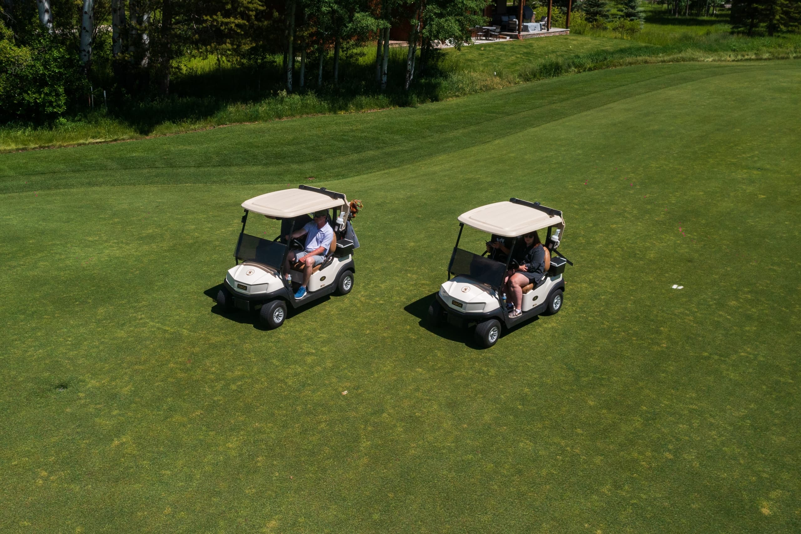 golf carts at Snake River Sporting Club