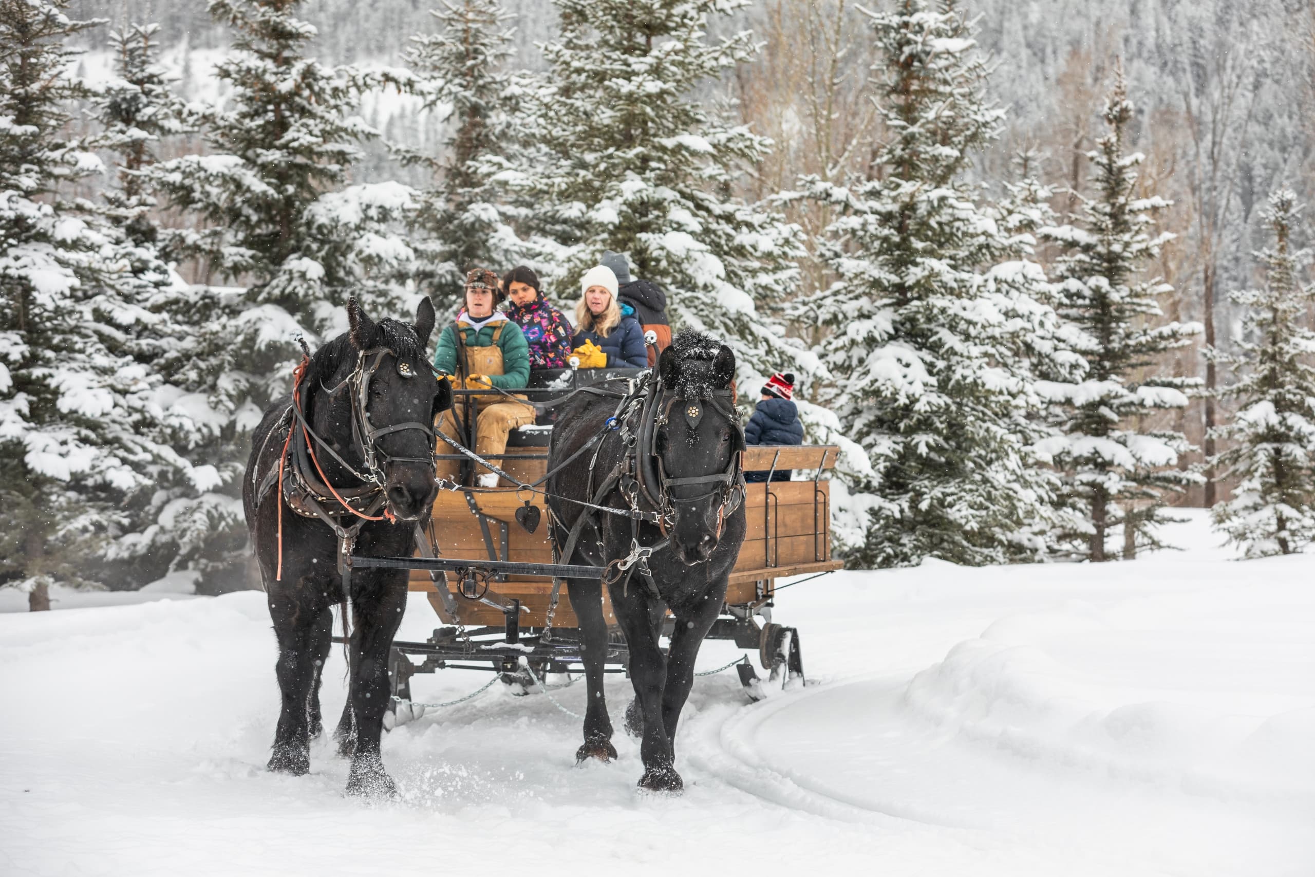 Horse-drawn sleigh rides in Winter at Snake River Sporting Club
