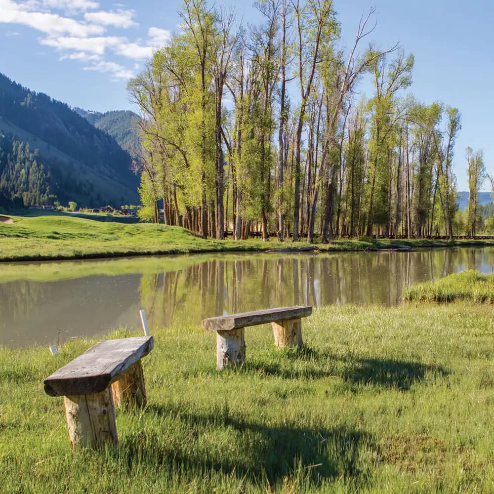Beaver Pond