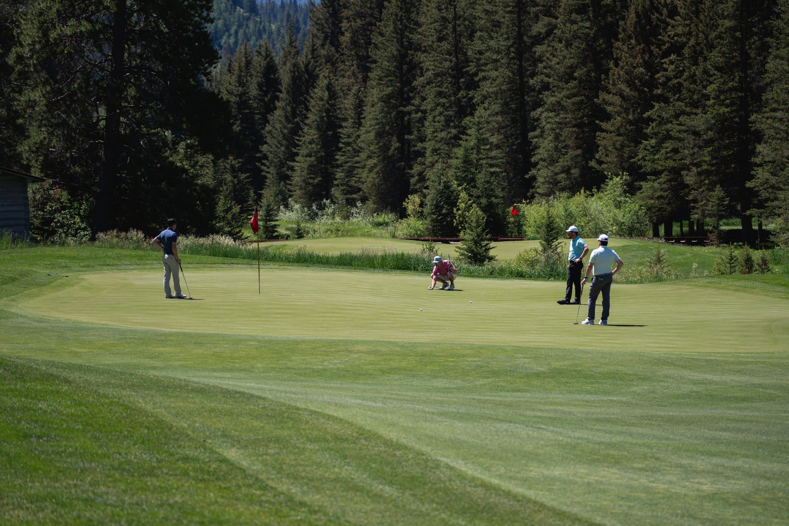 four men playing golf