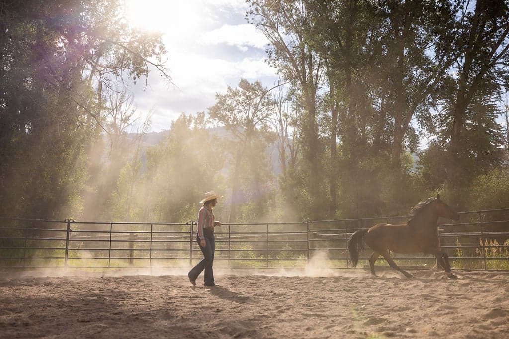 Cowgirl And A Horse