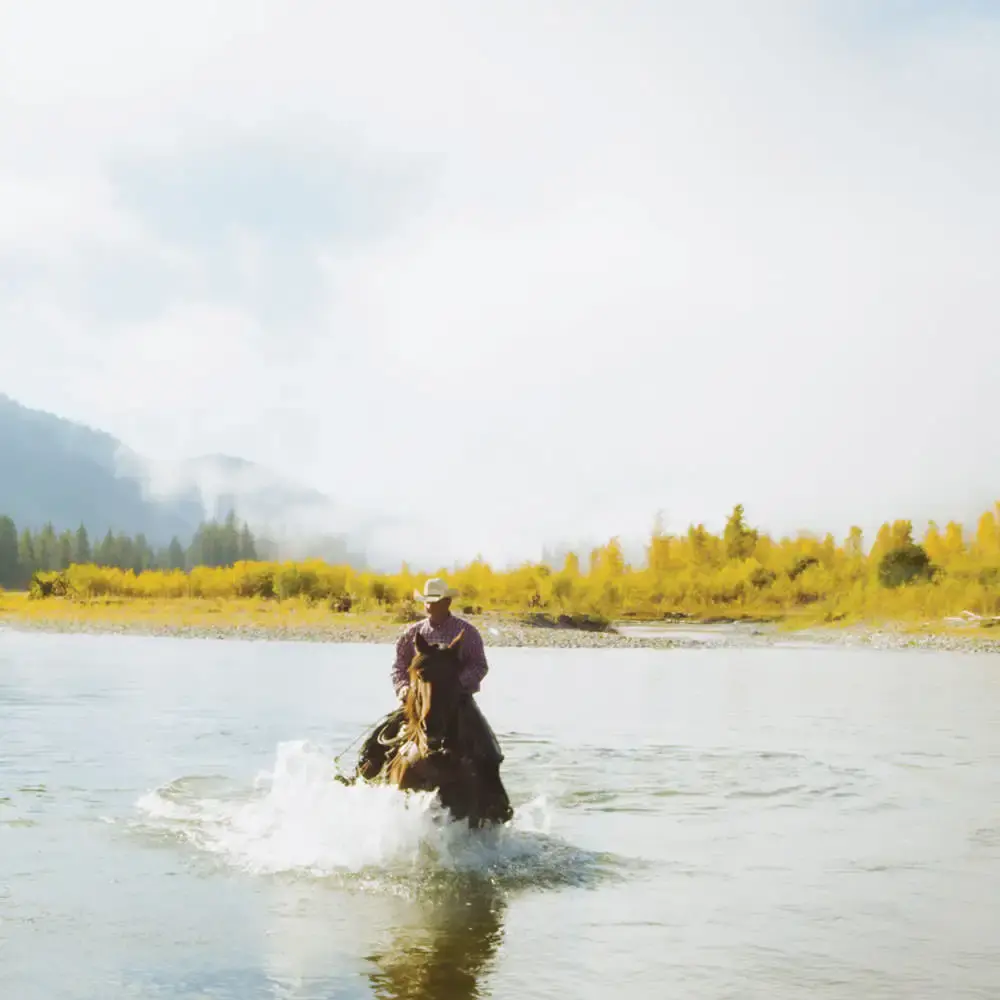 Horseback riding in Snake River, Wyoming