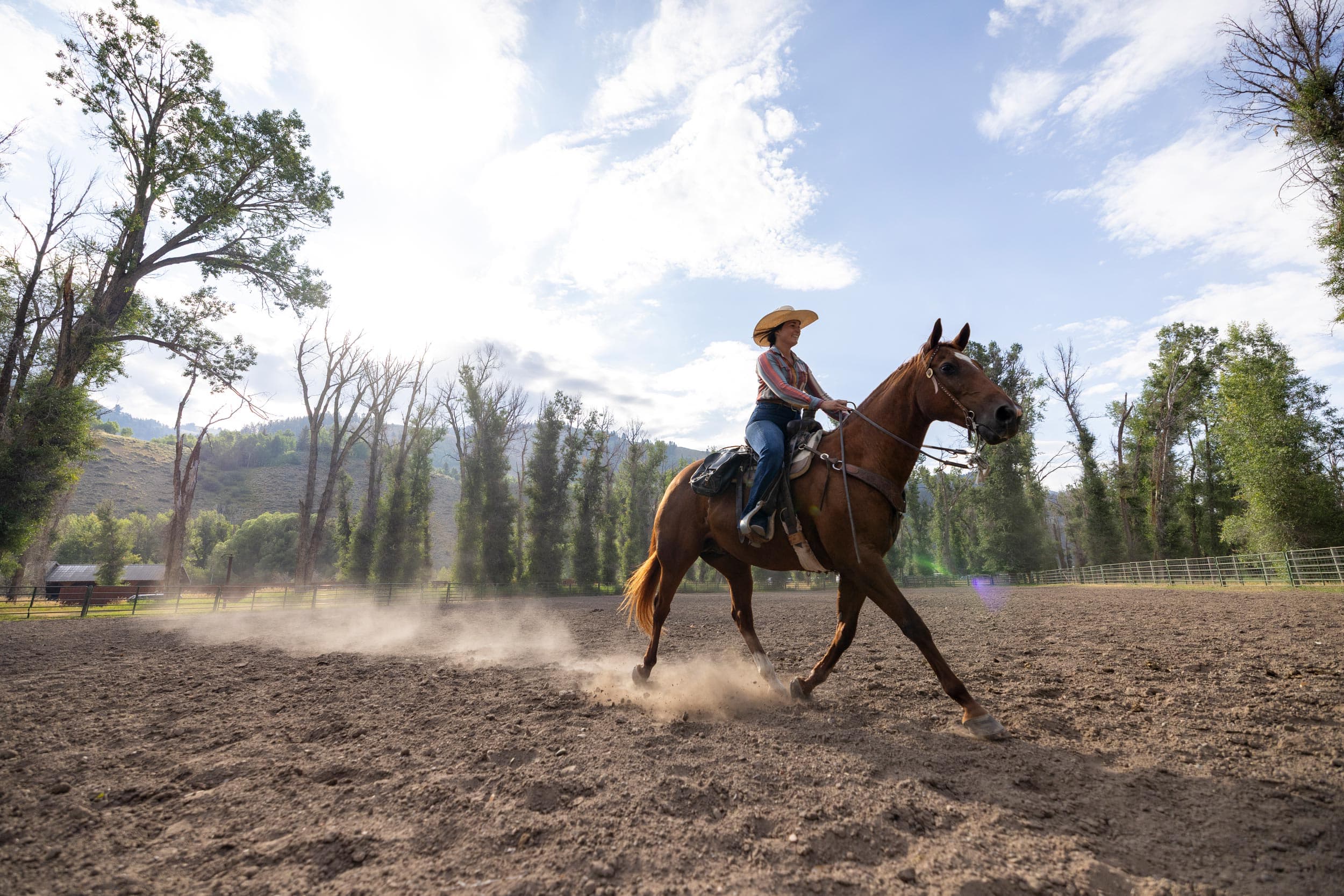 Horseback Ride In Jackson Hole