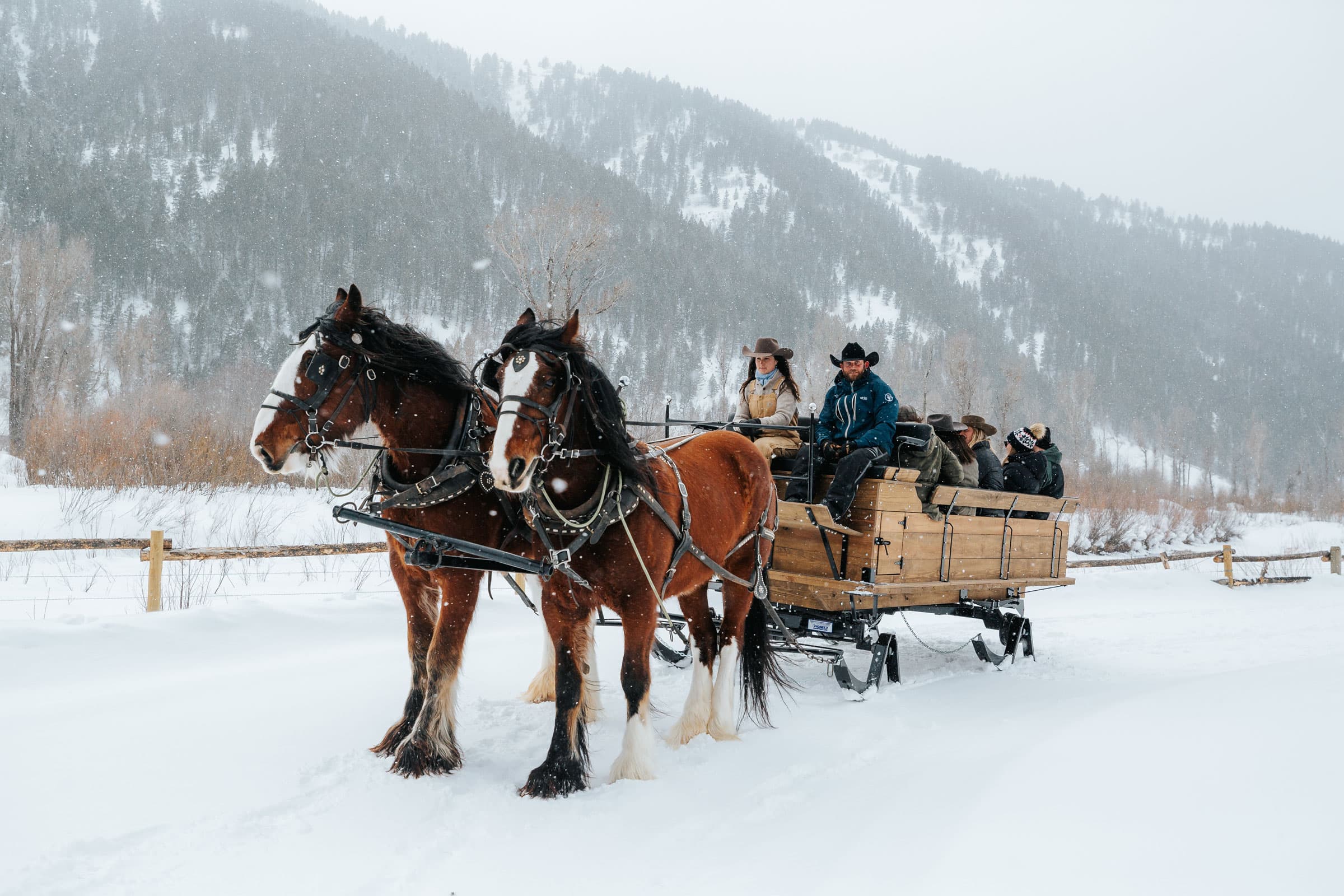 People on a sleigh ride