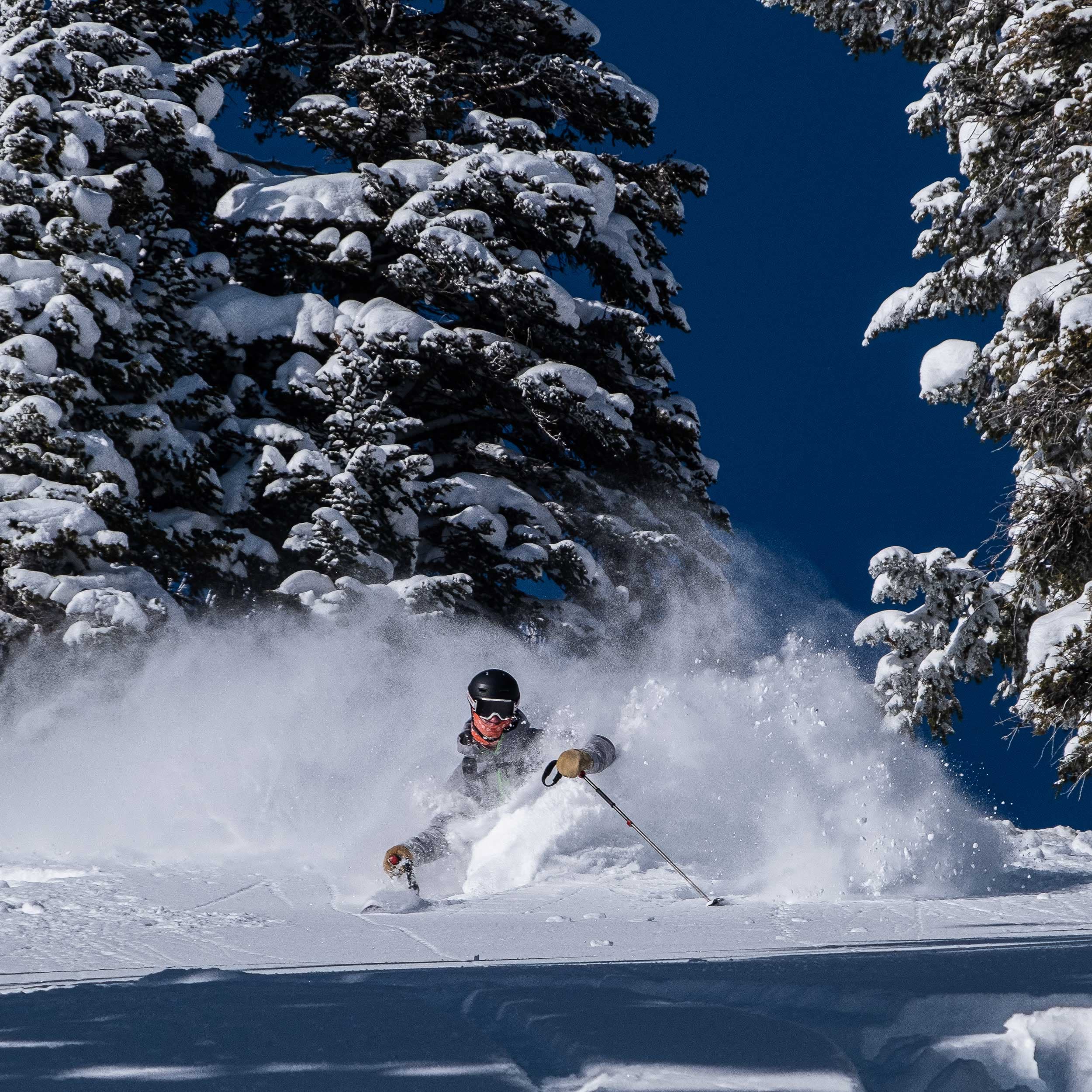 Skier In Jackson Hole