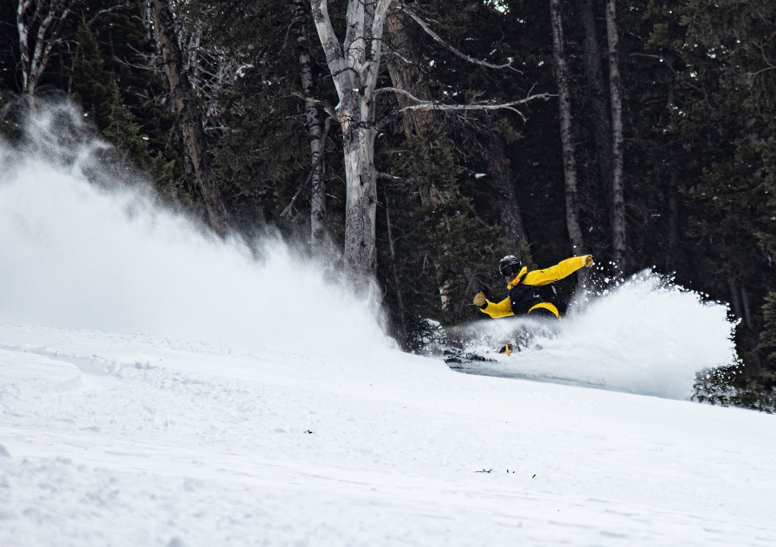 Heli Skier In Jackson Hole