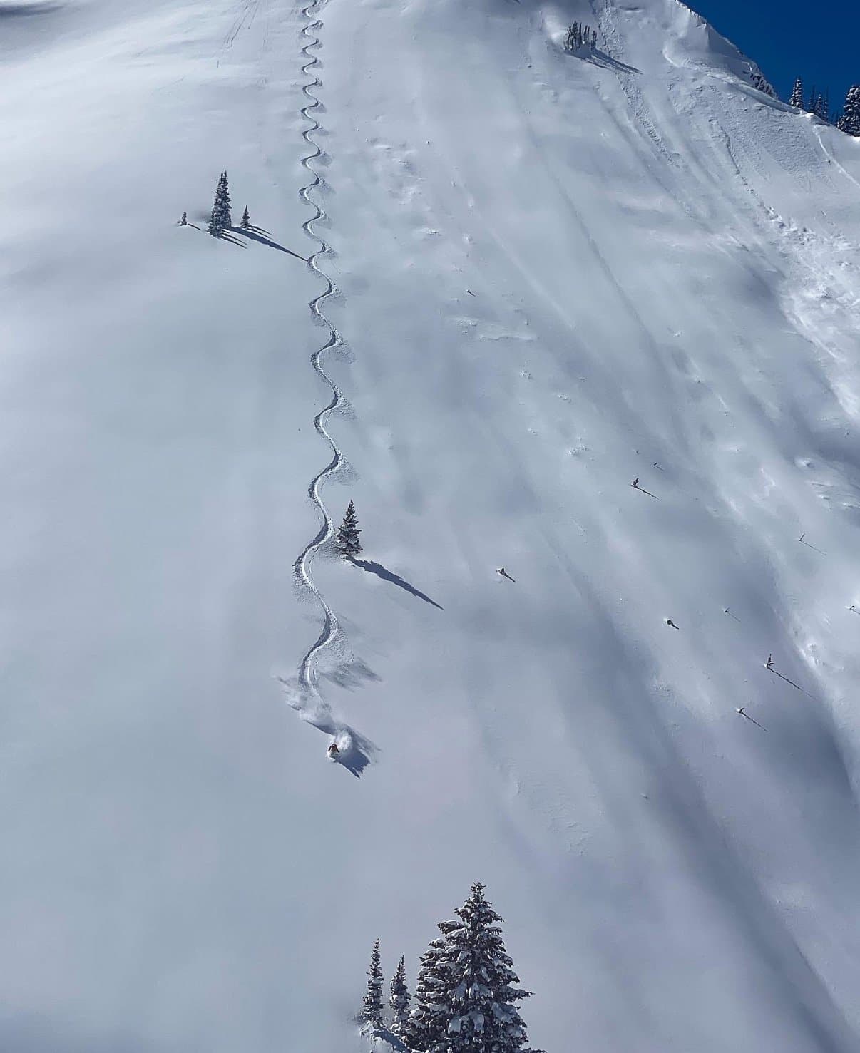 Skier Coming Down The Mountain In Jackson Hole
