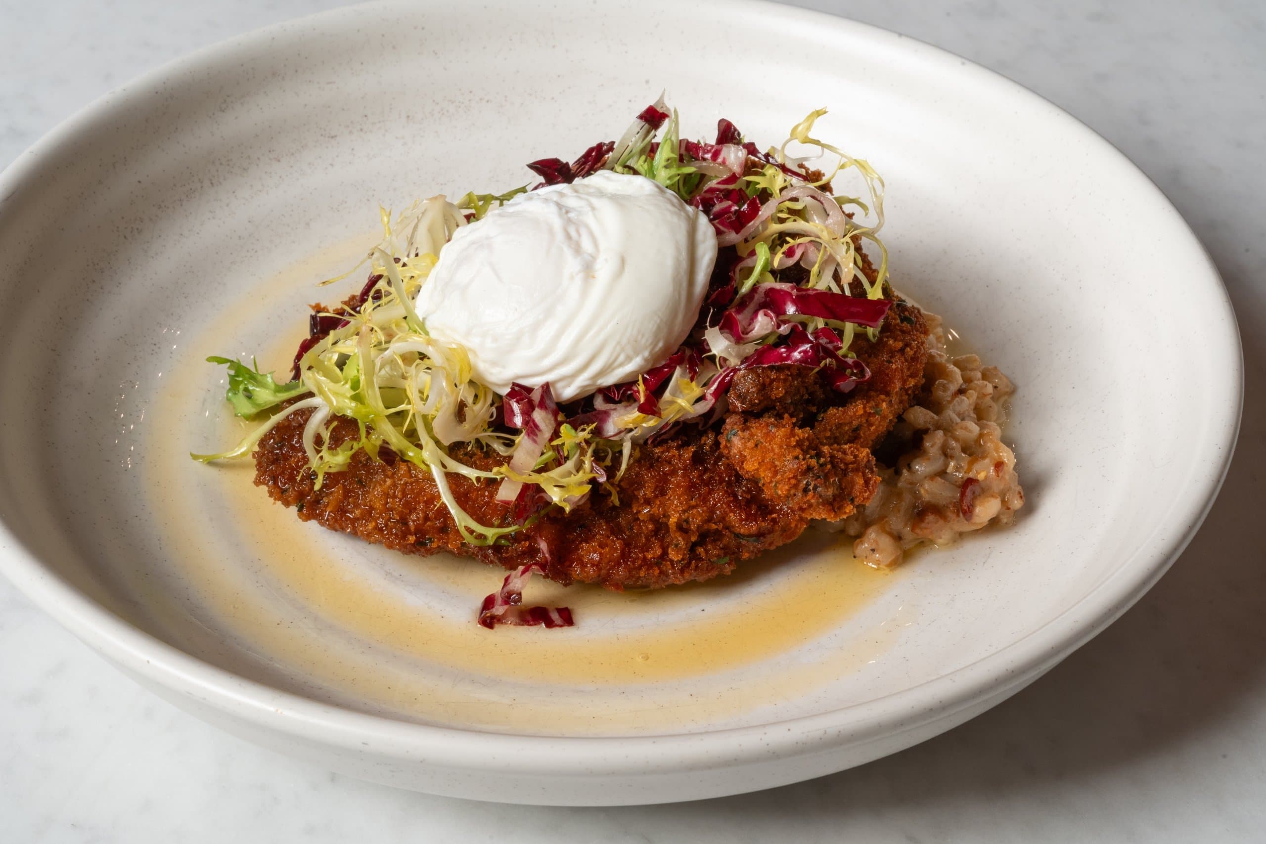 Apiece of fried chicken, slaw, and sour cream