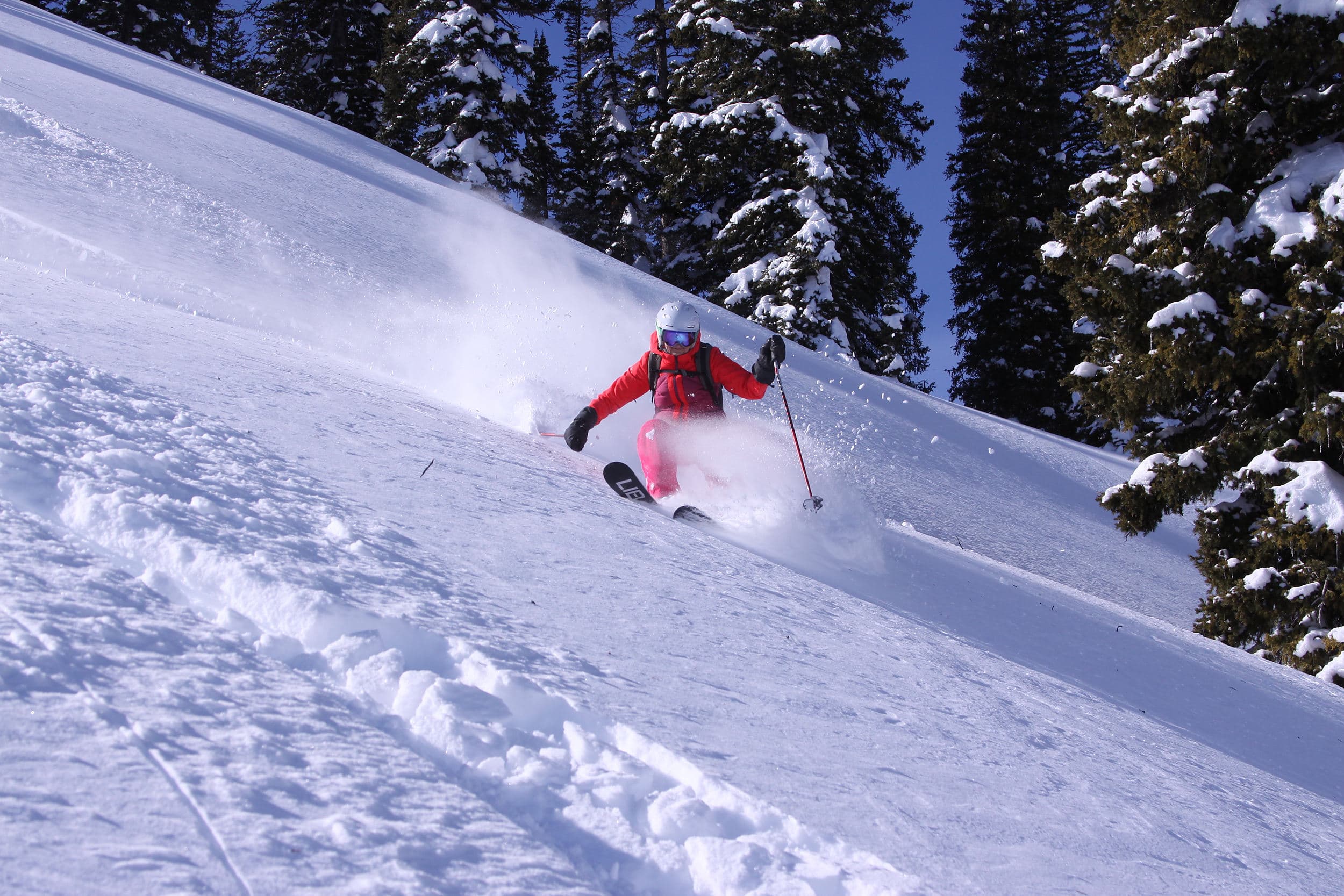 Skier carving fresh powder turns through snow-covered pines near Snake River Sporting Club in Jackson Hole, Wyoming